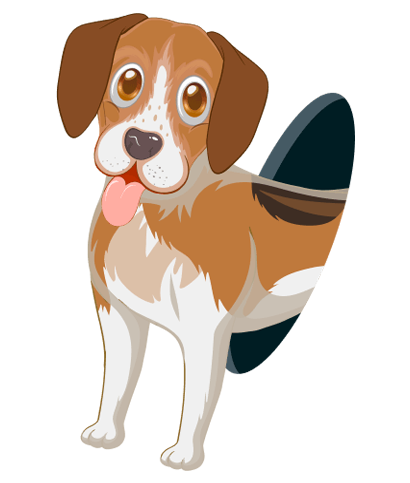 Barx Wholesome Canine